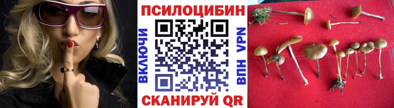 Галлюциногенные грибы прущие грибы  Купить закладки  Верхнеуральск 